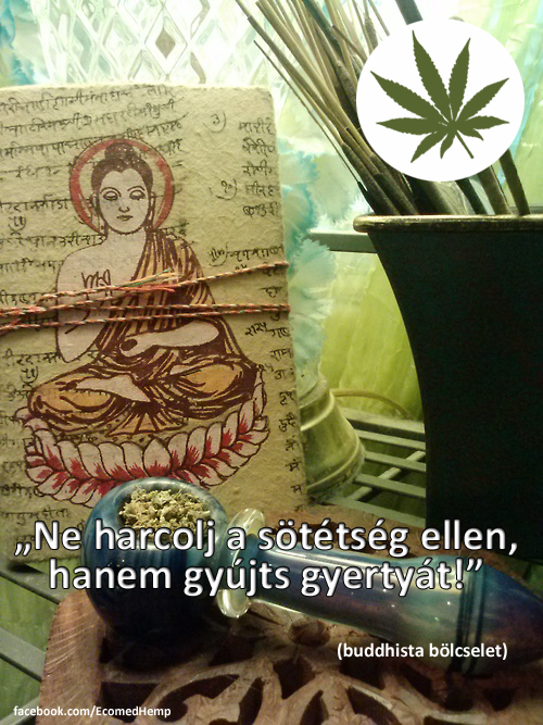 buddha fű cannabis