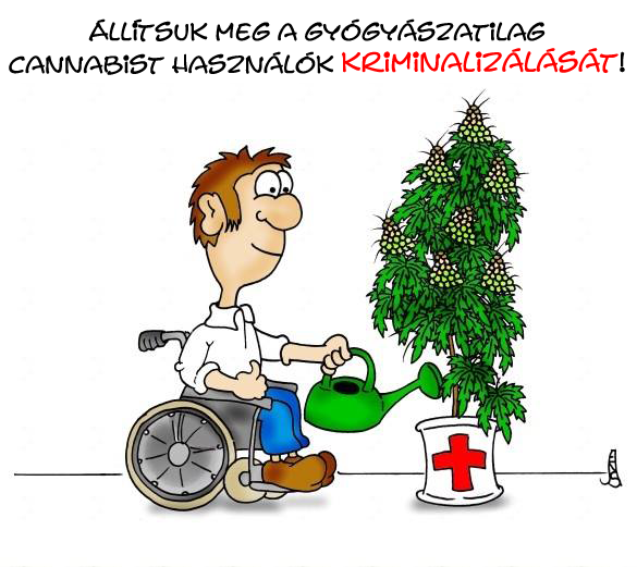 magyarország fű marihuána dekriminalizálása